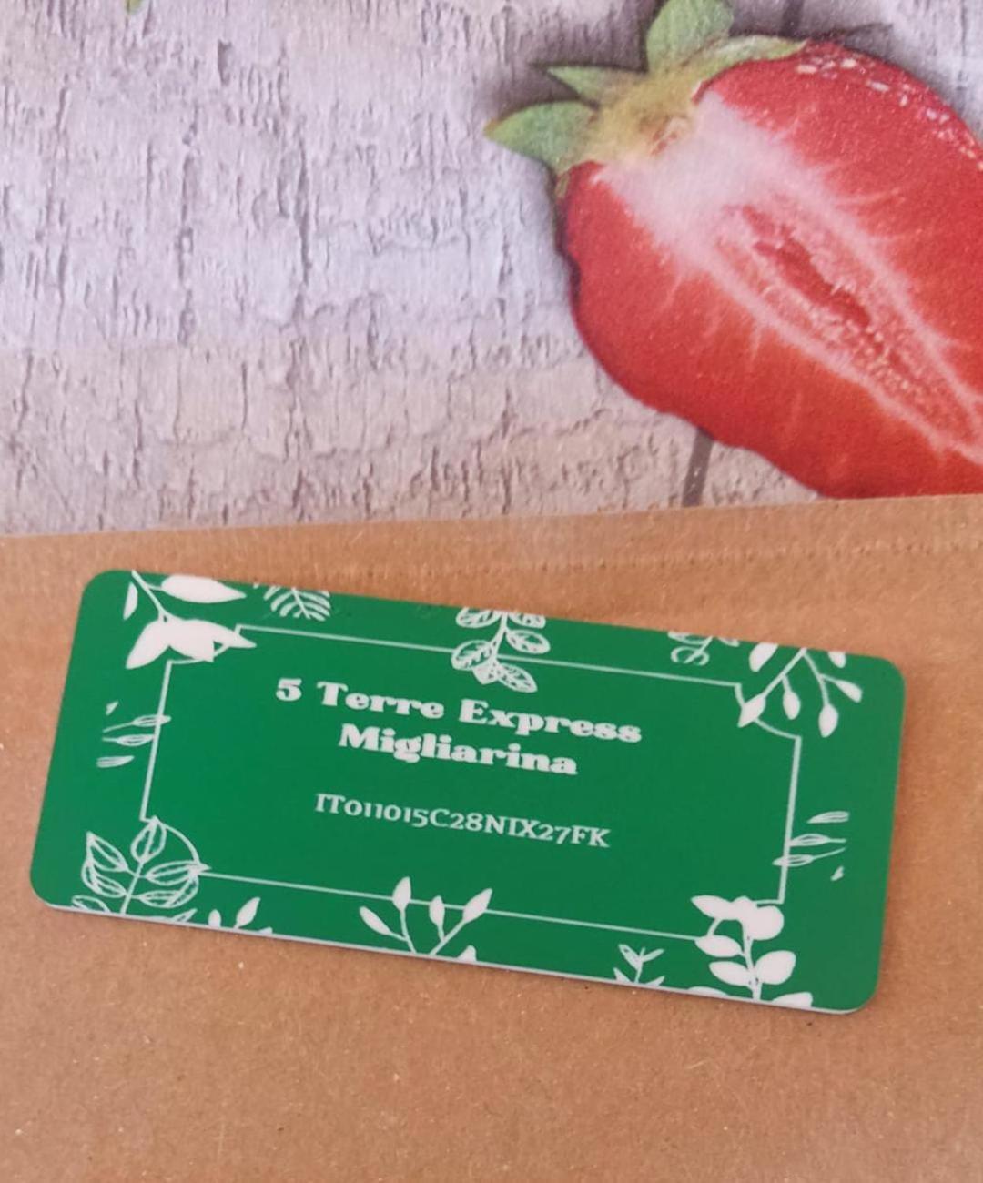 Appartamento 5 Terre Express Migliarina La Spezia Esterno foto